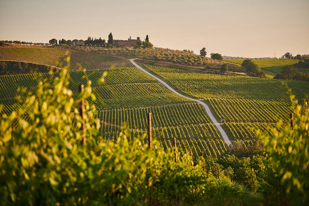 Where to Stay in Tuscany