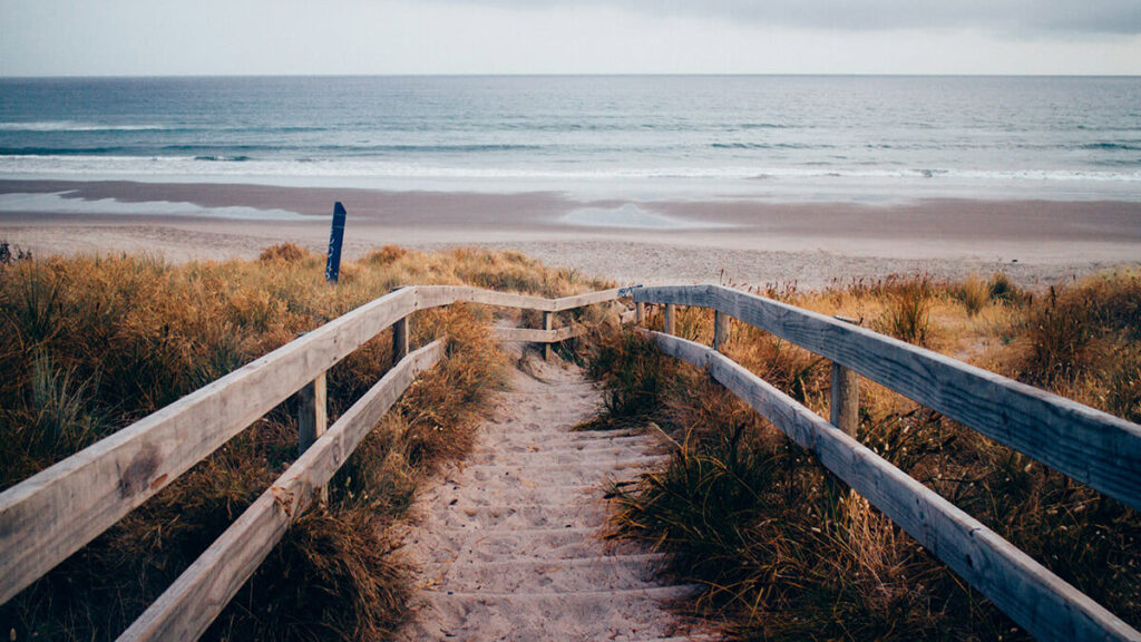Tauranga Tales: A Visit to New Zealand's Coastal Gem