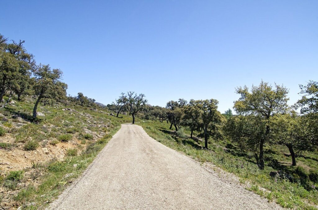 Los Alcornocales Natural Park